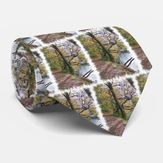 CRAVATE AUTOMNE (Roulé)