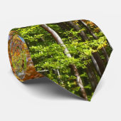 Cravate Automne Forêt II Automne Paysage Photographie (Roulé)