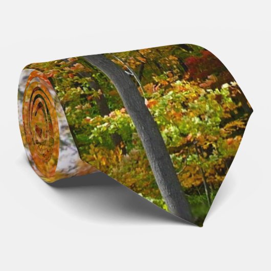 Cravate Automne Maple Trees Automne Photographie de la nat (Roulé)