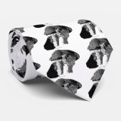 Cravate Autour du nord (Roulé)