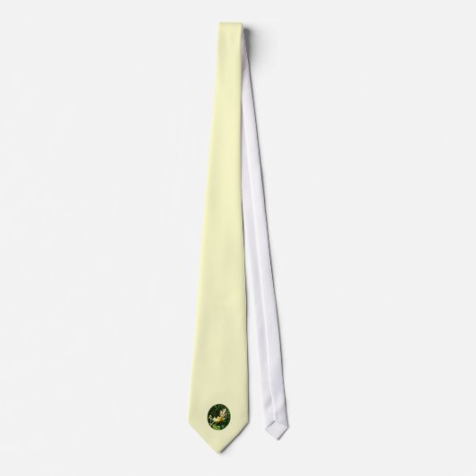 Cravate Avalette sur le papillon jaune Bush (Devant)