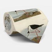 Cravate Avocet à pattes longues des oiseaux d'Amérique d'A (Roulé)
