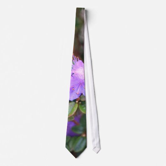 Cravate azalée puple buisson fleuri (Devant)