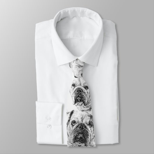 Cravate BALD DIVAS Necktie Homme (Attaché)
