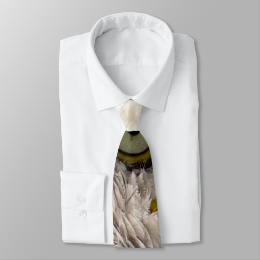 CRAVATE BALD EAGLE (Attaché)