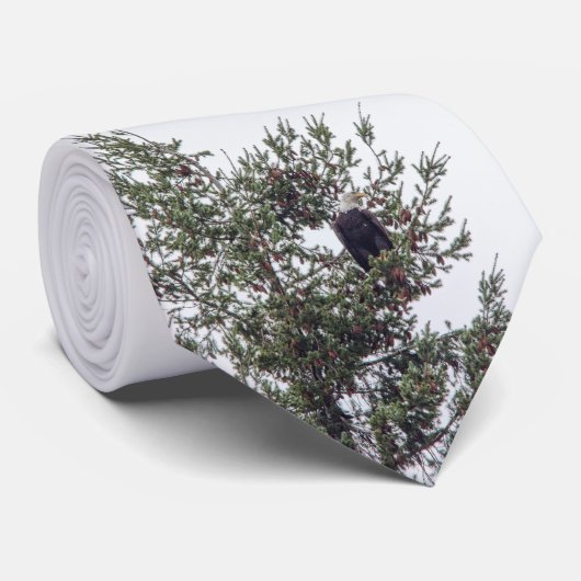 Cravate Bald Eagle P2825 (Roulé)