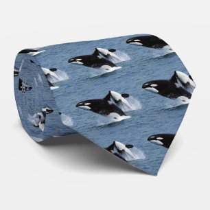 Cravate Baleine tueuse