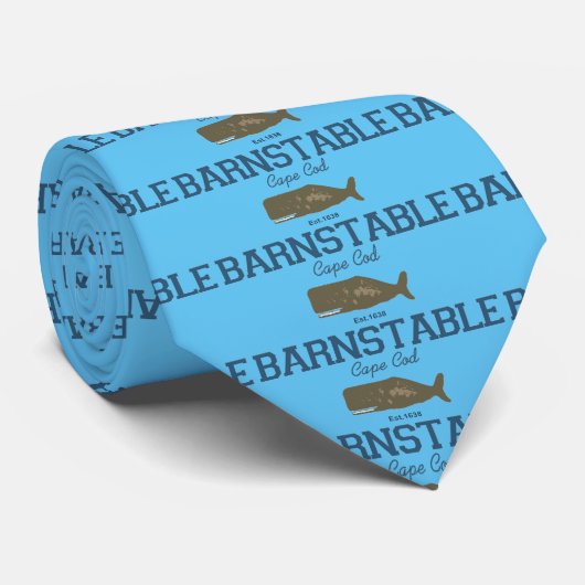 Cravate Barnstable - morue de cap (Roulé)