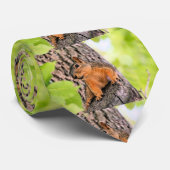 Cravate Bashful (Roulé)