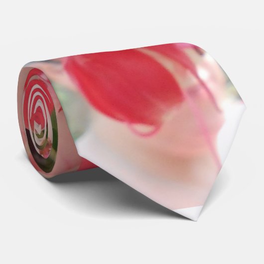 Cravate Bashkirtseff (Roulé)