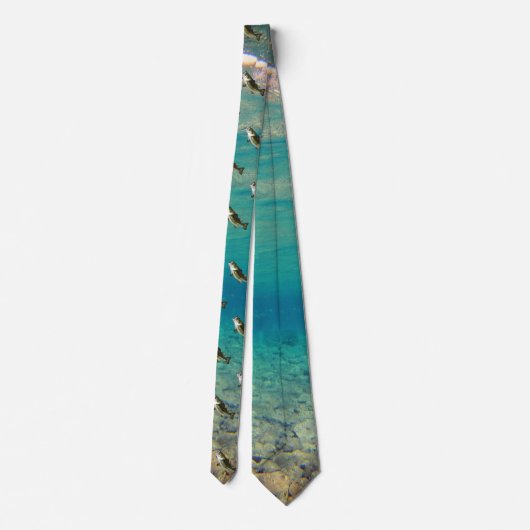 Cravate Bassin à grande bouche (Dos)