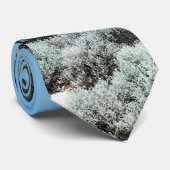 Cravate Beach Paradise, (Roulé)