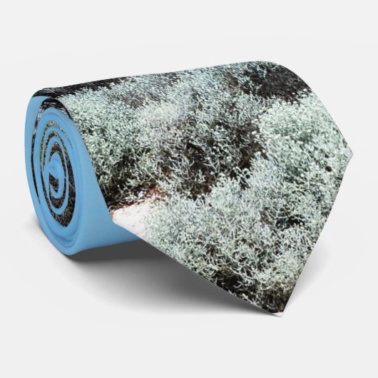 Cravate Beach Paradise, (Roulé)