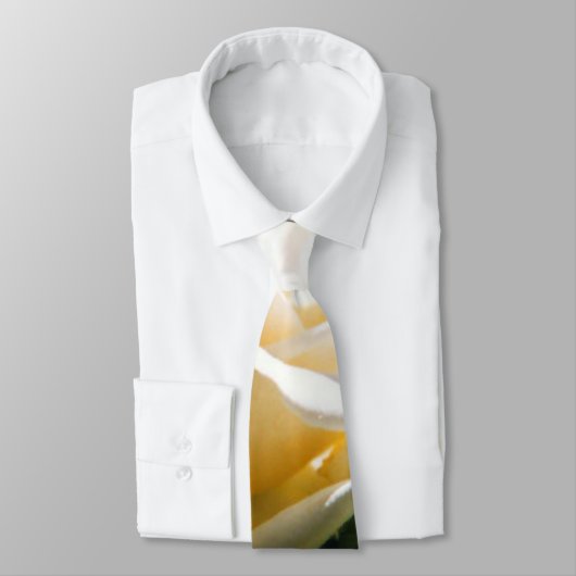 Cravate Beauté de Rose blanche (Attaché)