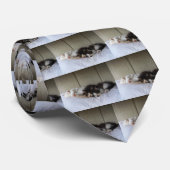 Cravate Beautés dormantes (Roulé)