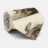 Cravate Bécasseau à Bartram (en altitude) - Audubon Birds  (Roulé)