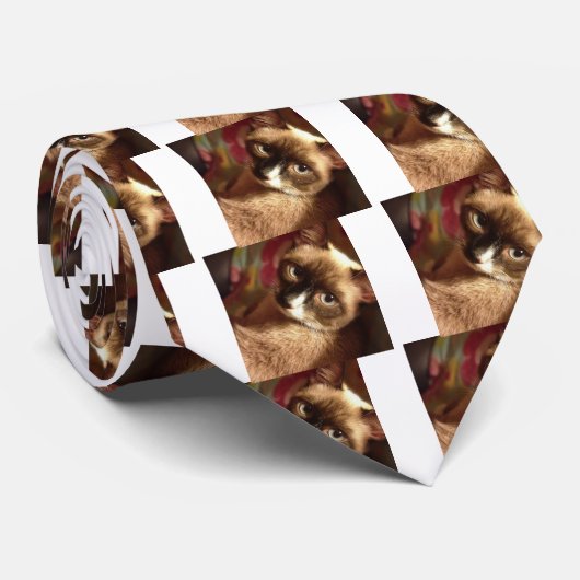 Cravate Belle Chat Brown (Roulé)