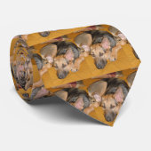 Cravate Berger allemand (Roulé)