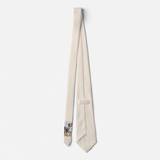 Cravate Berger Australien Merle Queue Longue (Dos)