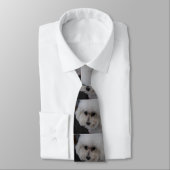 Cravate Bichon doux Frise (Attaché)