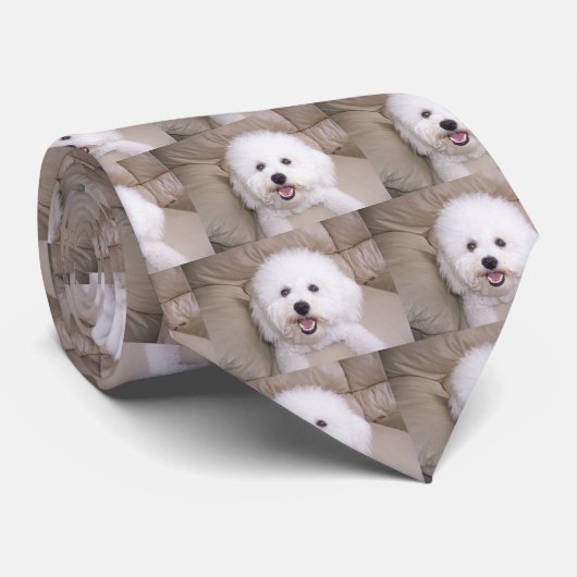 Cravate Bichon Frise (Roulé)