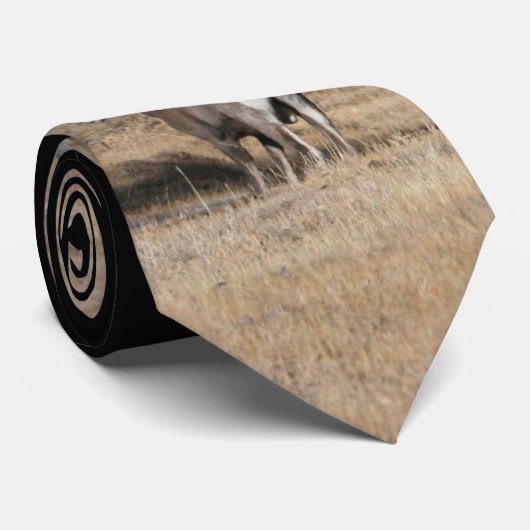 Cravate Big Horn Ram (Roulé)