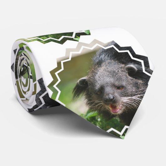 Cravate Binturong (Roulé)