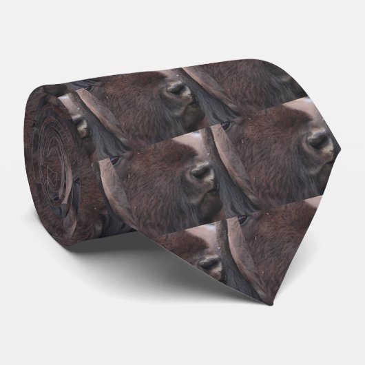Cravate bison (Roulé)