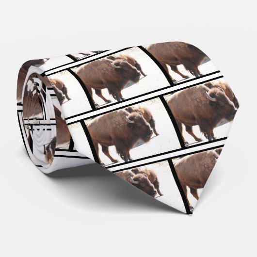 Cravate Bison américain (Roulé)