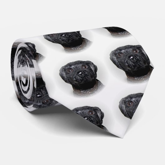 Cravate Black Lab tout autour (Roulé)