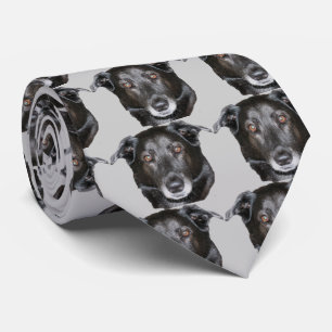 Cravate Black Labrador Retriever Dog Face