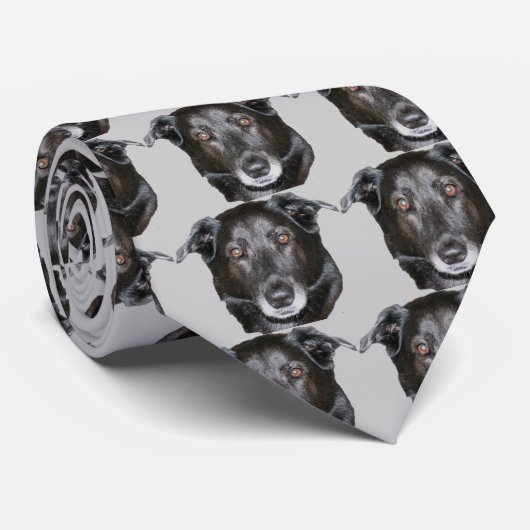 Cravate Black Labrador Retriever Dog Face (Roulé)
