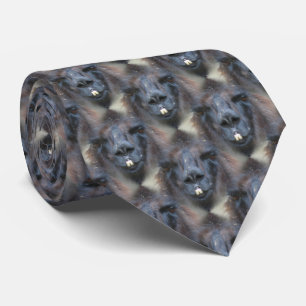 Cravate Black Llama Face