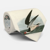 Cravate Black Skimmer, Shearwater Audubon Birds of America (Roulé)