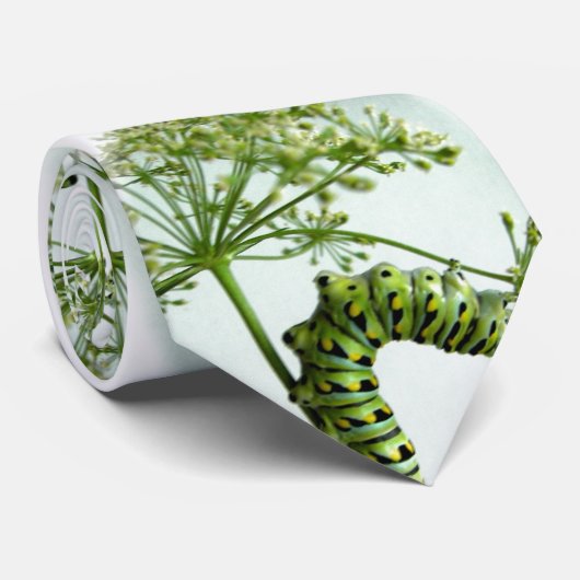 Cravate Black Swallowtail Caterpillar mangeant du persil (Roulé)