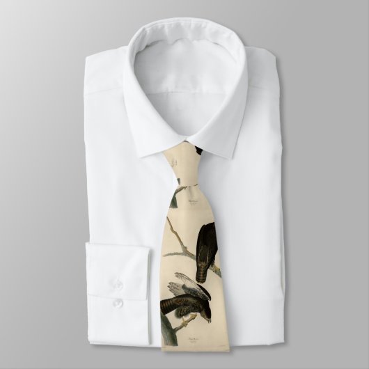 Cravate Black Warrior (Buse à queue rouge) d'Audubon Birds (Attaché)