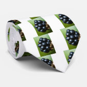 Cravate Blackberry (Roulé)