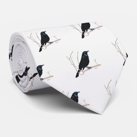 Cravate Blackbird (Roulé)