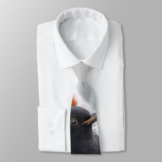 Cravate Blackbird d'hiver (Attaché)