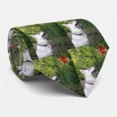 Cravate blanc de berger allemand (Roulé)