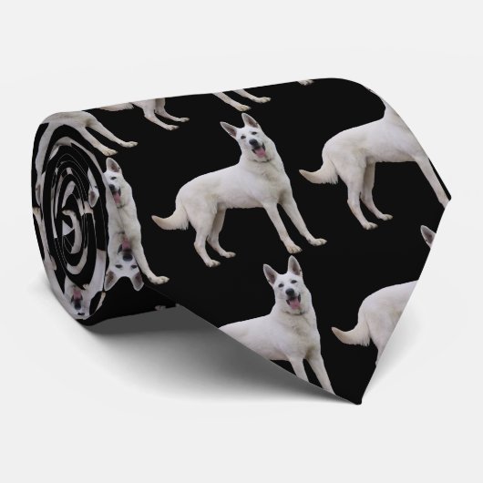 Cravate blanche 2 de bergers allemands (Roulé)