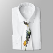 Cravate Blanche d'Arba - Lulav, Esrog, Hadas, et Aravah (Attaché)