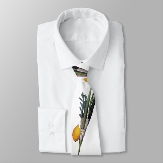 Cravate Blanche d'Arba - Lulav, Esrog, Hadas, et Aravah (Attaché)