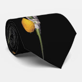 Cravate Blanche d'Arba - Lulav, Esrog, Hadas, et Aravah (Roulé)