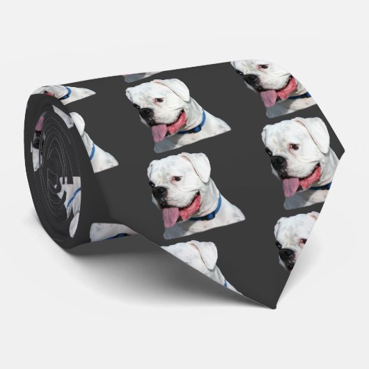 Cravate blanche de boxeur (Roulé)