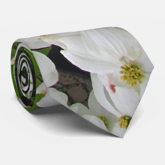 Cravate blanche de ~ de cornouiller (Roulé)