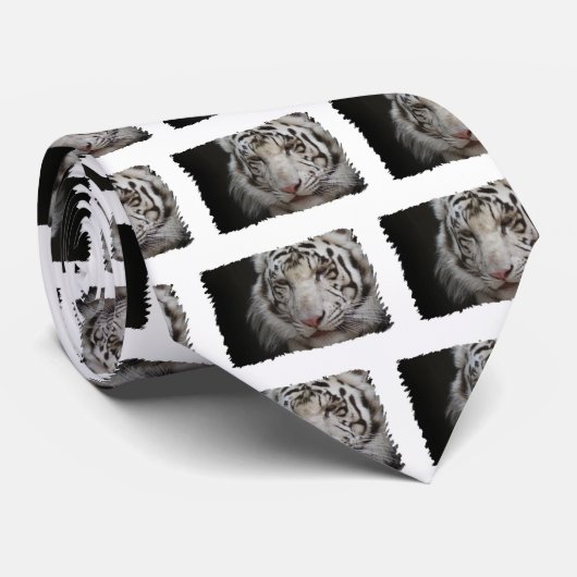Cravate blanche de tigre (Roulé)