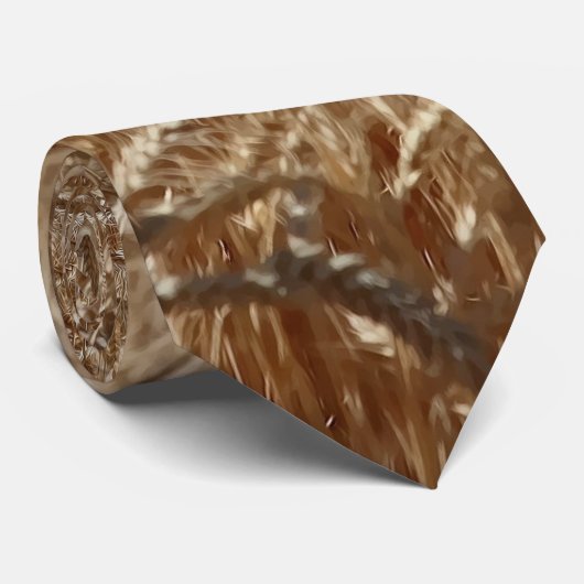 CRAVATE BLÉ (Roulé)