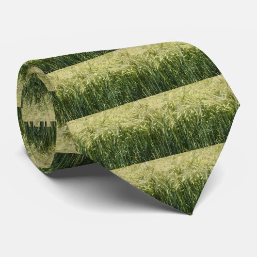 Cravate Blé - beau ! (Roulé)