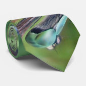 Cravate Bleu Dasher Dragonfly Coordonner les éléments Crav (Roulé)